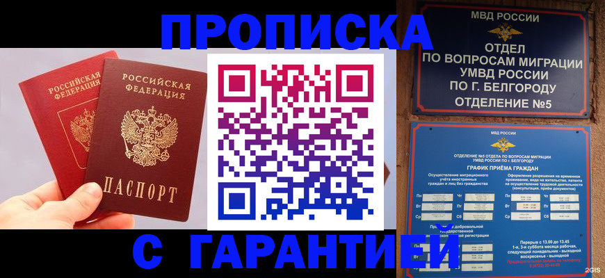 прописка 2025 в Ермолино